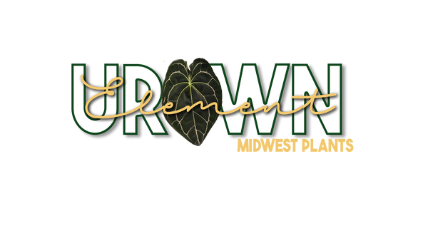 UrOwn Element Midwest Plants 